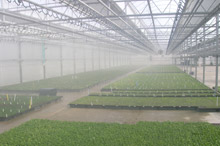 Greenhouse Application